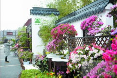 22個城市的微型景觀將亮相杜鵑花展